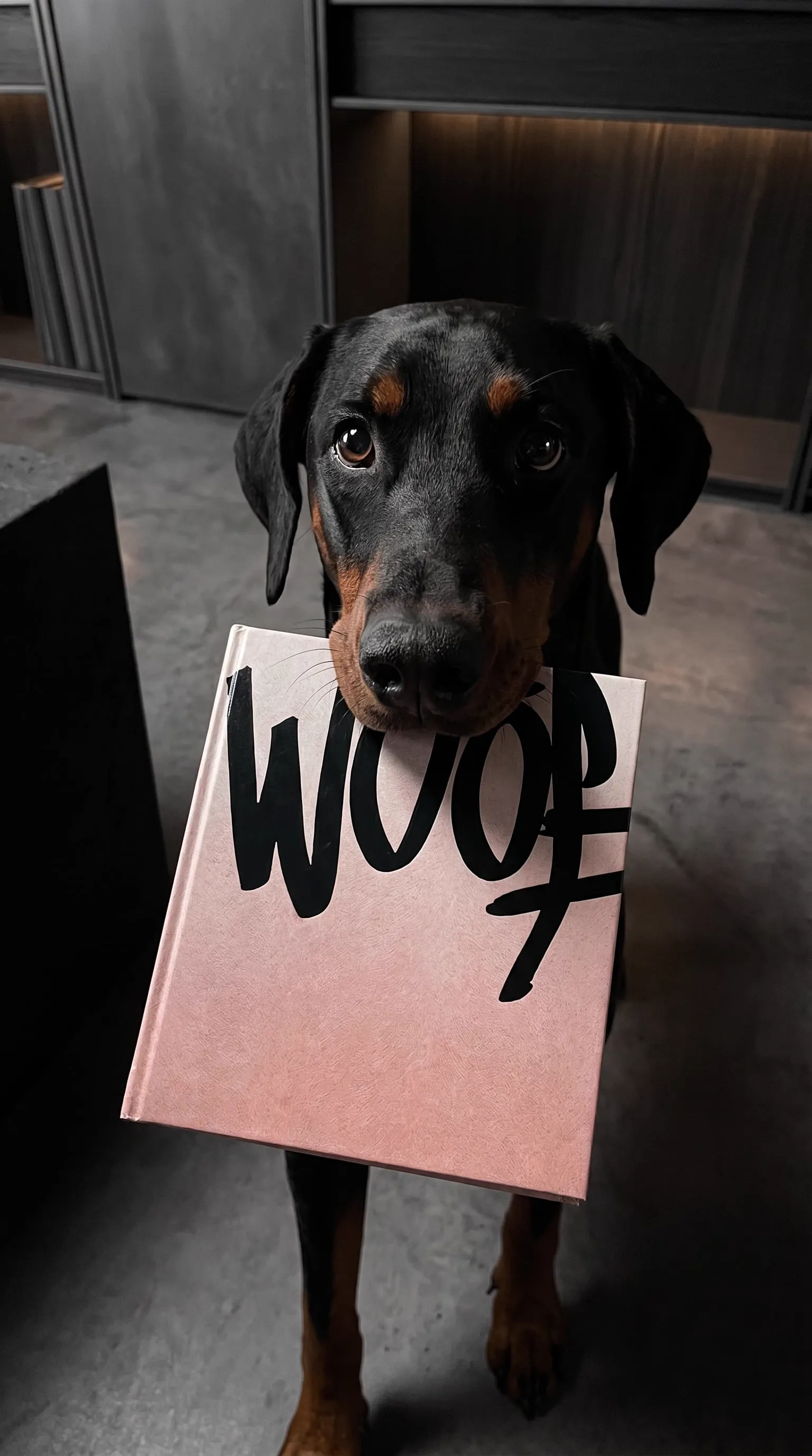 Un dóberman sostiene el libro WOOF en el hocico, mirando a cámara